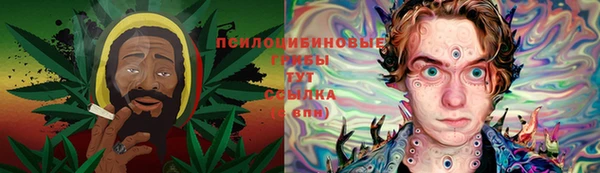 гидра Абдулино