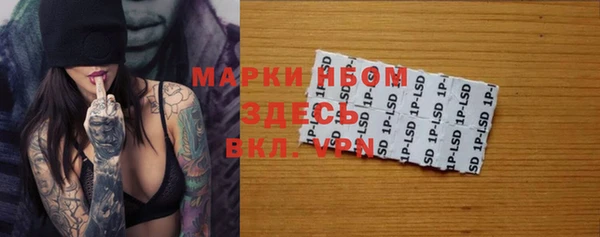 ПСИЛОЦИБИНОВЫЕ ГРИБЫ Абаза