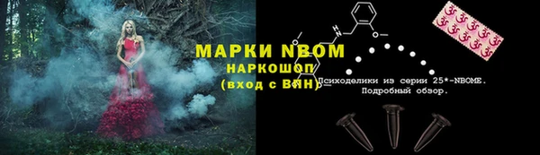 ПСИЛОЦИБИНОВЫЕ ГРИБЫ Абаза