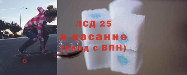 ПСИЛОЦИБИНОВЫЕ ГРИБЫ Абаза