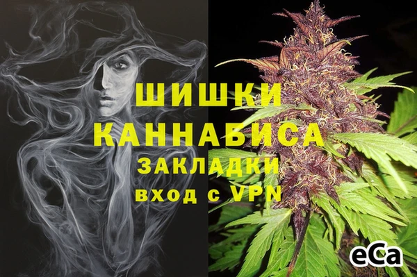 ПСИЛОЦИБИНОВЫЕ ГРИБЫ Абаза
