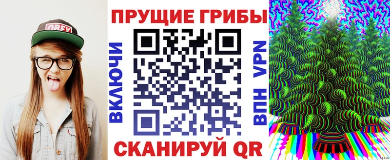 Псилоцибиновые грибы ЛСД  Правдинск 